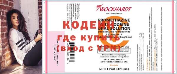 эйфоретик Надым